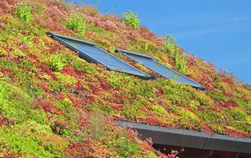 Yarnbrook living roof systems